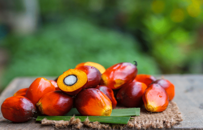 Batana Oil