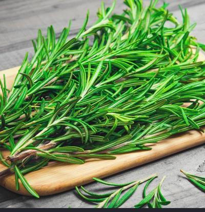 Rosemary Oil